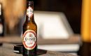 Bier