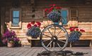 Blumen