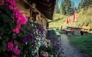 Brentenjochalm Terrasse