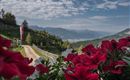 Buchacker Alm Aussicht Blumen