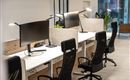 A modern workspace with several desks and computer monitors. The environment is bright and friendly, with plants and stylish office chairs.