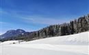 Eine winterliche Landschaft mit schneebedeckten Feldern und einem klaren blauen Himmel. Im Hintergrund sind Wälder und Berge zu sehen.