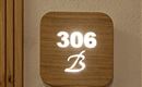 Eisen96
