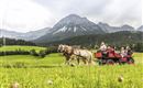Ellmau_Kutschenfahrt Sommer 2_Wilder Kaiser