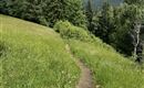 A dog is running on a narrow path through a green meadow. In the background, tall mountains and a cloudy sky are visible.
