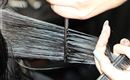 A person is cutting hair with scissors and a comb. The focus is on the well-groomed, shiny strands of hair.