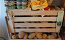 frische Produkte