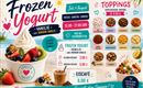 Frozen Yogurt