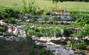 Garten1