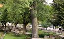 Gastgarten