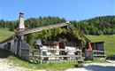 Goglalm Erl