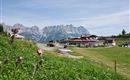 Going_Blattlalm_Sommer_Wilder Kaiser