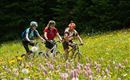 Going_GoingSport_Wilder Kaiser (4)