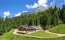 Going_Graspoint Niederalm_Sommer_Wilder Kaiser (3)
