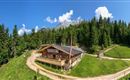 Going_Graspoint Niederalm_Sommer_Wilder Kaiser