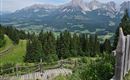 A stunning mountain landscape with towering peaks and green forests. In the foreground is a wooden railing that opens up the view of the surrounding nature.