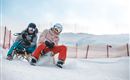 Zwei Personen auf Schlitten im Schnee. Sie haben Spaß und tragen Schutzhelme.