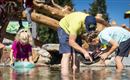 A group of children and adults discovers fossils or gemstones in a shallow body of water. They collect and examine the finds with bowls and sieves.