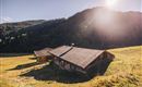 Haagalm Herbst @ Region Hohe Salve-Maximilian Gier