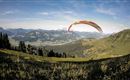 Hornpark_Flying Fox