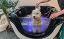 Kaiser's Hundeoase Hundebad