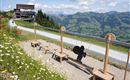 Kitzbühel Tourismus 5