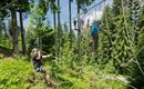 Kletterpark