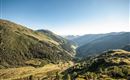 Landschaft