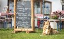 Een hond zit op het gras voor een restaurant met een bord dat het dag-aanbod toont. Daarachter zijn tafels met rode tafelkleden en een parasol te zien.