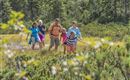 Moorwanderung