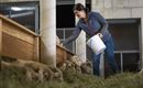 Nina bei der Arbeit
