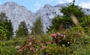 Obere Steinbergalm_Wiese_Aussicht