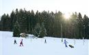 A winter landscape with snow and trees in the background.  
Children are pulling sleds on a frozen area.