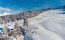 Piste