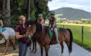 Ponyreiten