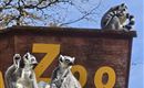Raritätenzoo Ebbs 3