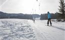 Schlepplift bei den Schneebergliften