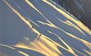 Schnee