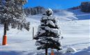 schnee