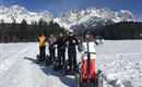 Segway Winter