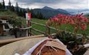 selbstgemachtes Brot