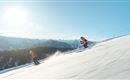 Skischule Salvenmoser_Skifahren