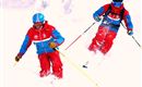 Skischule