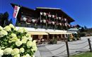 Söll_Alpenpanorama_Wilder Kaiser_Sommer
