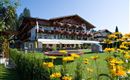 Söll_Alpenpanorama_Wilder Kaiser_Sommer1