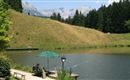 Söll_Angeln am Moorsee_Wilder Kaiser