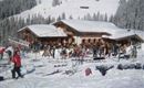 Söll_AuAlm_Wilder Kaiser
