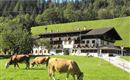 Söll_Außenansicht_Wilder Kaiser
