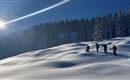 Söll_Boardbetter Skitour_Kitzbühler Alpen