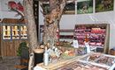 Söll_Genusswelt Innenansicht5_Wilder Kaiser